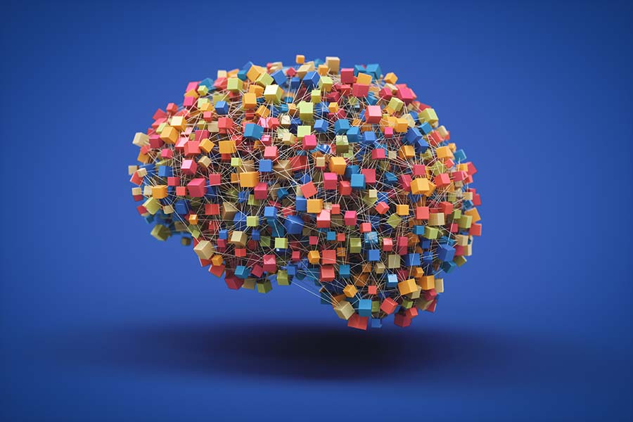 How artificial neural networks build their own learning machinery | MIT News